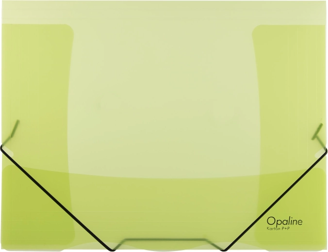 Carpeta con goma OPALINE verde A4