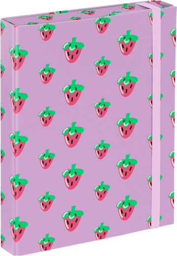 BAAGL carpetas para cuadernos escolares A5 Lavender