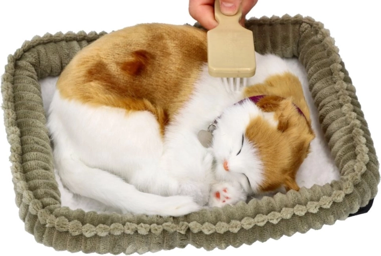 Aspecto realista de una gata dormida