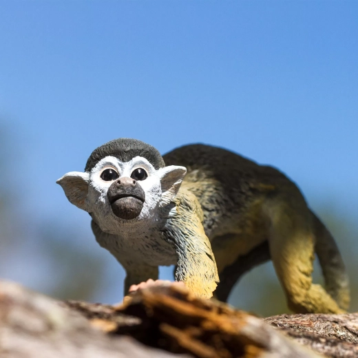 Representación fiel para conocer la naturaleza