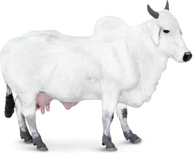 Figura de toro doméstico (cebú) Safari Ltd. - 1 pieza