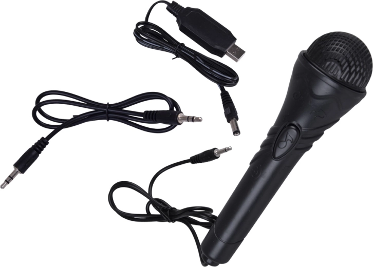 Karaoke y conciertos en casa
