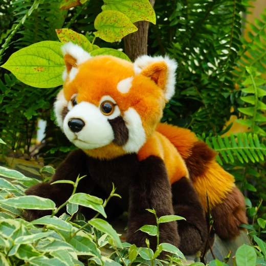 Detalles realistas de la panda roja