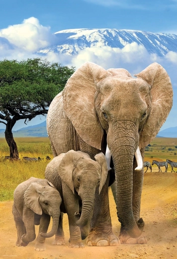 Puzzle EUROGRAPHICS Save Our Planet: elefantes XL 250 piezas
