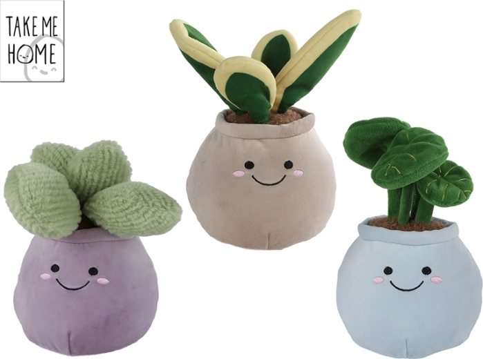 Planta de interior de peluche Take Me Home