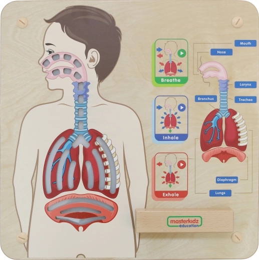 Tablero educativo de madera Respiración de Masterkidz