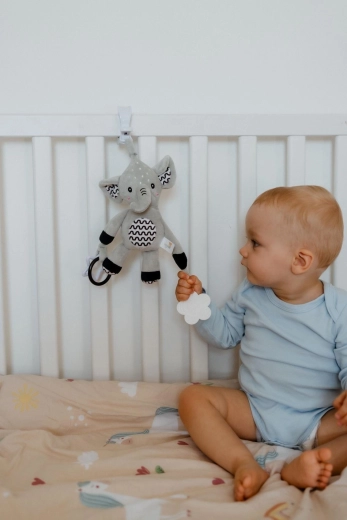 Suave sonajero y orejitas crujientes