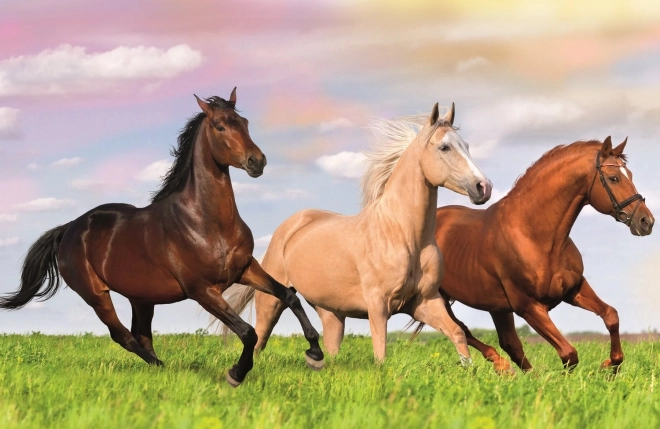 Puzzle Trefl Mundo de los caballos – galope por la pradera, 54 piezas