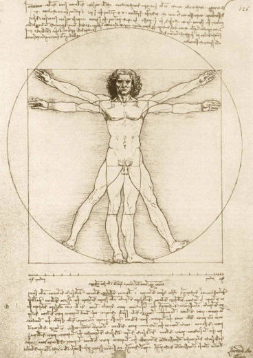 Puzzle Hombre de Vitruvio 1000 piezas de LEONARDO DA VINCI