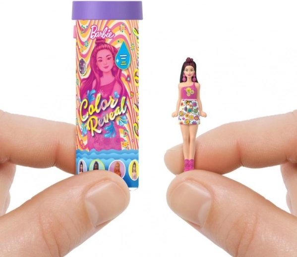 Mini Muñeca BarbieLand Color Reveal