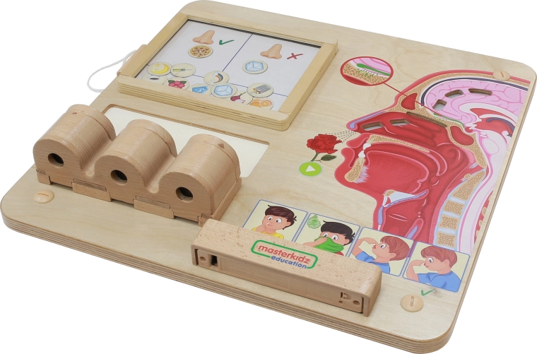 Aprendizaje sensorial a través del juego