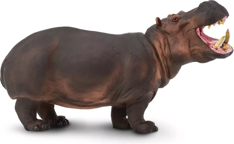 Safari Ltd. hipopótamo – figura realista - 1 pieza