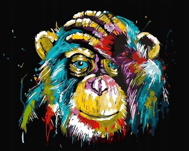 Norimpex Pintura por números Mono colorido 40 × 50 cm