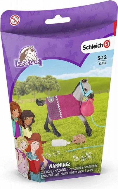 Schleich Horse Club set divertido para animales
