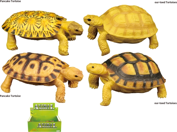 Mundo animal – juguete tortuga, 4 tipos