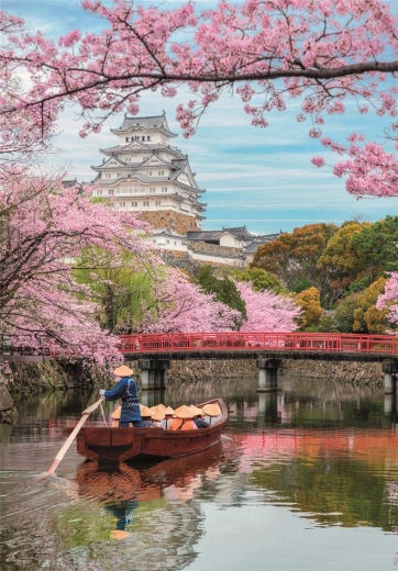 Hermoso motivo del castillo de Himeji en primavera