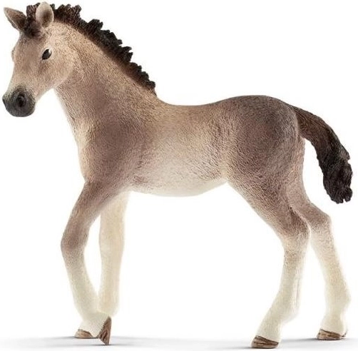 Animalito: potro andaluz