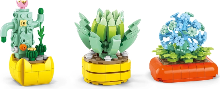 Cactus y suculentas sin cuidados