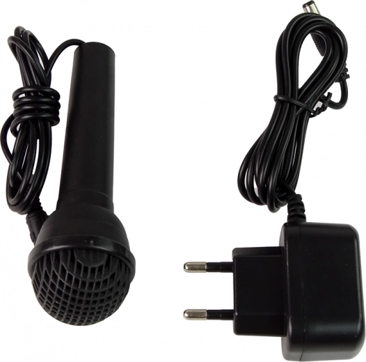 Micrófono y luces LED para más diversión