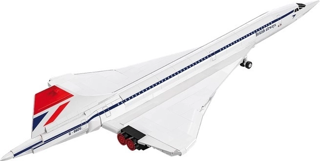 Icono de la aviación a escala 1:100