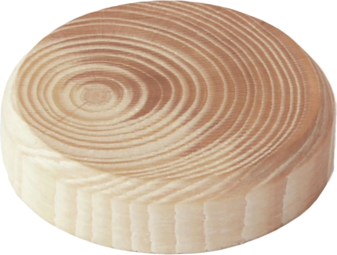 Tapones de rama de madera 40 × 7 mm, 8 uds.