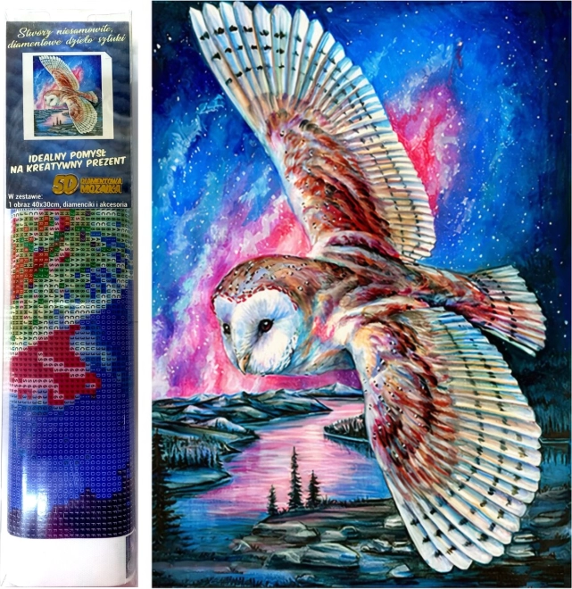 Pintura de diamantes Vuelo de búho 30x40cm