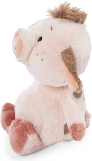 Elección ecológica de la colección NICI Green