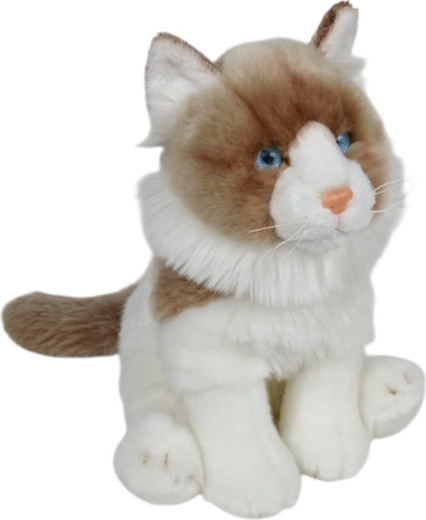 Gato de peluche Ragdoll sentado de 28 cm