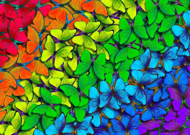 Rompecabezas de mariposas arcoíris de 1000 piezas