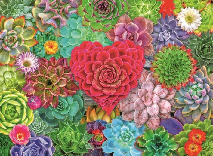 Puzzle Paraíso de suculentas 500 piezas