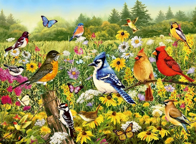 Puzzle Ravensburger Pradera de pájaros 500 piezas