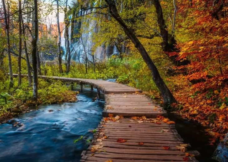 Puzzle RAVENSBURGER Bosque misterioso 1000 piezas