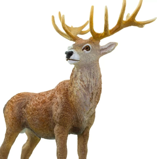 Figura segura y no tóxica