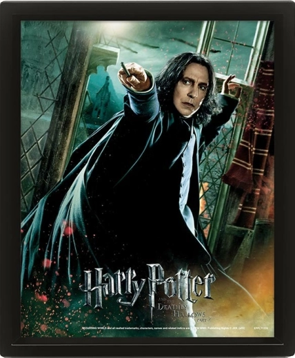 Cuadro 3D HARRY POTTER – Severus Snape
