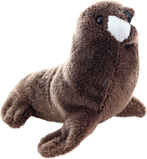 Tamaño ideal de 13 cm