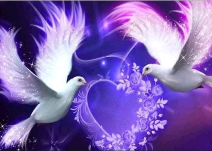 Bordado de diamantes (diamond painting) dos palomas – corazón 40 × 30 cm