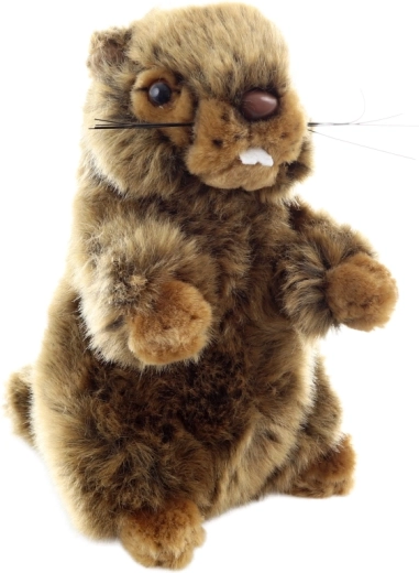 Seguro desde el nacimiento