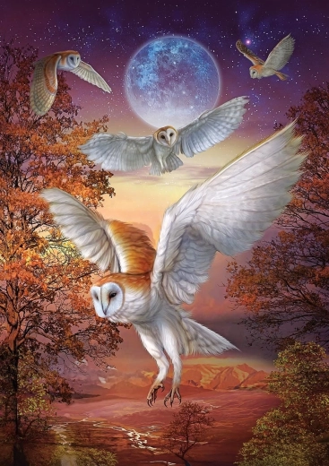 Puzzle Búhos nocturnos 1000 piezas ART PUZZLE