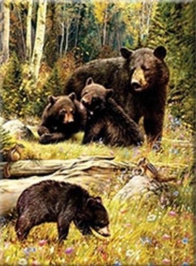 Pintura de diamantes – Osos en el claro 30 × 40 cm