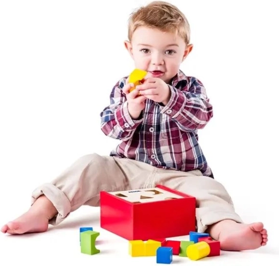 Juguete educativo a partir de 2 años