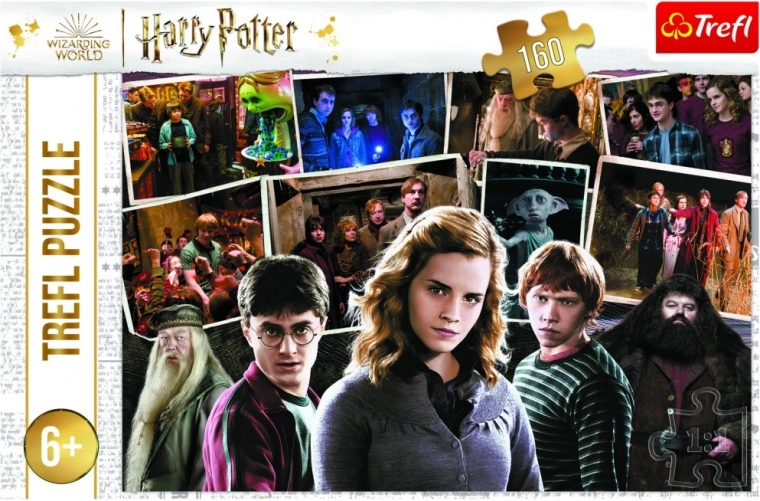 Puzle HARRY POTTER y amigos 160 piezas Trefl