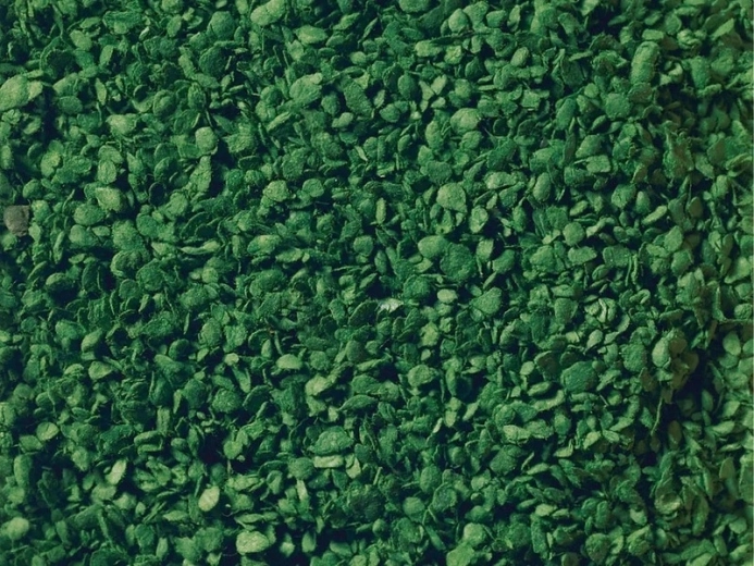 Noch espolvoreado de hojas verde medio