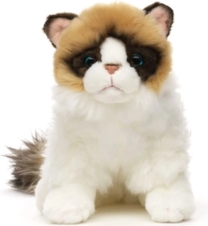 Gato de peluche Ragdoll de 23 cm