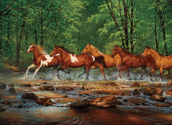 Puzzle Klus v Spring Creek 1000 piezas