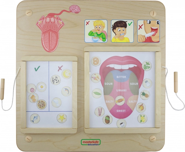 Masterkidz Tabla Educativa Sentido del Gusto Montessori