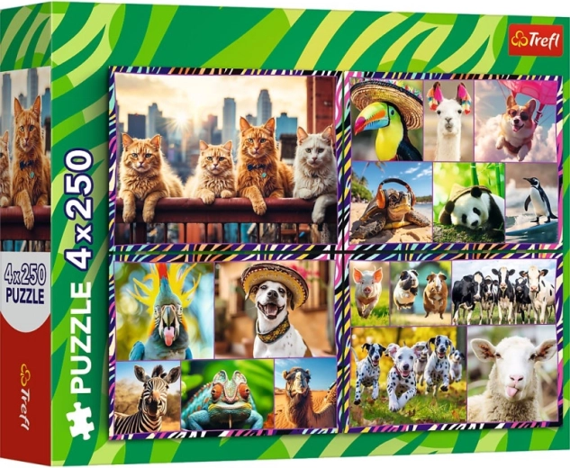 Puzle 4×250 piezas Animales alegres