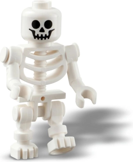 Un esqueleto que desata la imaginación
