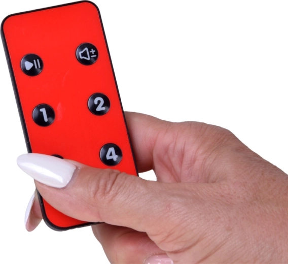 Control remoto y 4 velocidades