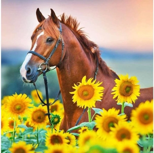 Bordado de diamantes (diamond painting) caballo en girasoles 30 × 30 cm