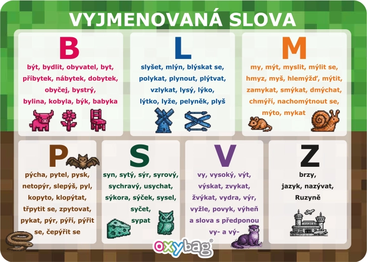 PlayWorld tarjeta educativa A4 palabras de ortografía (vyjmenovaná slova)